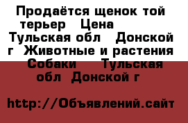 Продаётся щенок той-терьер › Цена ­ 6 000 - Тульская обл., Донской г. Животные и растения » Собаки   . Тульская обл.,Донской г.